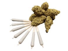 7 X 0.5G COZMIC WAVE PRE-ROLLS