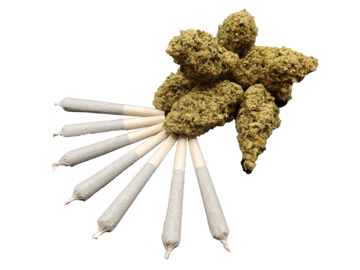 Papa Joes Organics - 7 X 0.5 G PURPLE TRUFFLE PRE-ROLLS Main Image