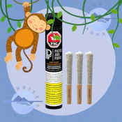 GAS CAKE JUNGLE BOYS CUT - PISTOL AND PARIS - 3X0.5G