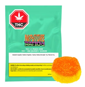 NO FUTURE - NO FUTURE : Ratio'd - The 1:1 Peach One