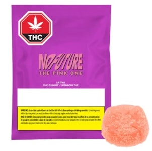 NO FUTURE - NO FUTURE : The Pink One Sativa THC Gummy