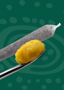 GREAT GARDENER FARMS - BARBARA BUD LIVE ROSIN INFUSED | 1 x 1g