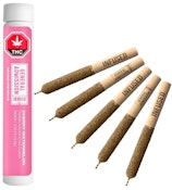 GENERAL ADMISSION - Cherry Watermelon 5 x 0.5g Distillate Infused Pre-Rolls