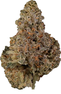 MTL Cannabis - MTL - Gas N' Up | 3.5g