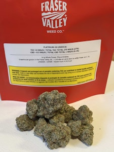 FRASER VALLEY - Platinum OG 14g Dried Flower