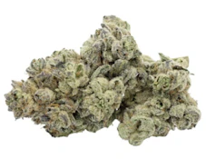 Animal Tsunami - 7g
