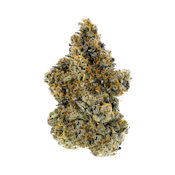 WOODY NELSON - GUAVA BISCOTTI PREMIUM SMALLS - 3.5G