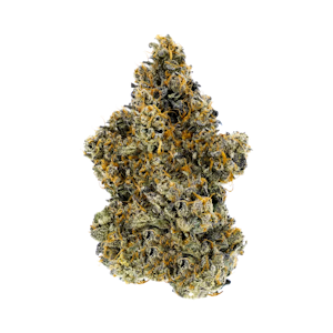 Woody Nelson - Woody Nelson | GUAVA BISCOTTI PREMIUM SMALLS | 3.5g