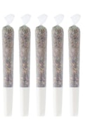 PURPLE G*SHERS | Pineapple Gusher 5x0.5g Pre-rolls | Elevate