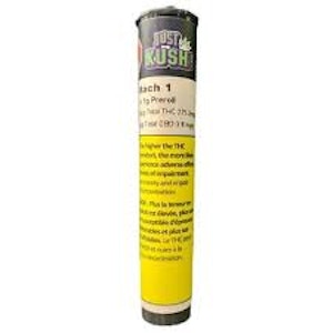 Just Kush - Just Kush | MACH 1 PRE-ROLLS - 1G