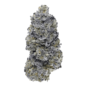 Woody Nelson - WOODY NELSON - Jager 14g