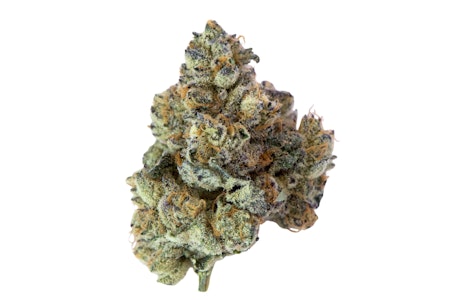 Island Genetics - 7g Strawberry Froyo