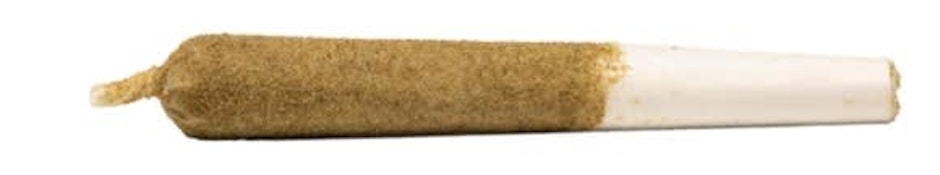 GENERAL ADMISSION : Peach Rizz 1g Infused Pre-roll