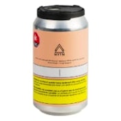 BLOOD ORANGE SPARKLING BEVERAGE - 355