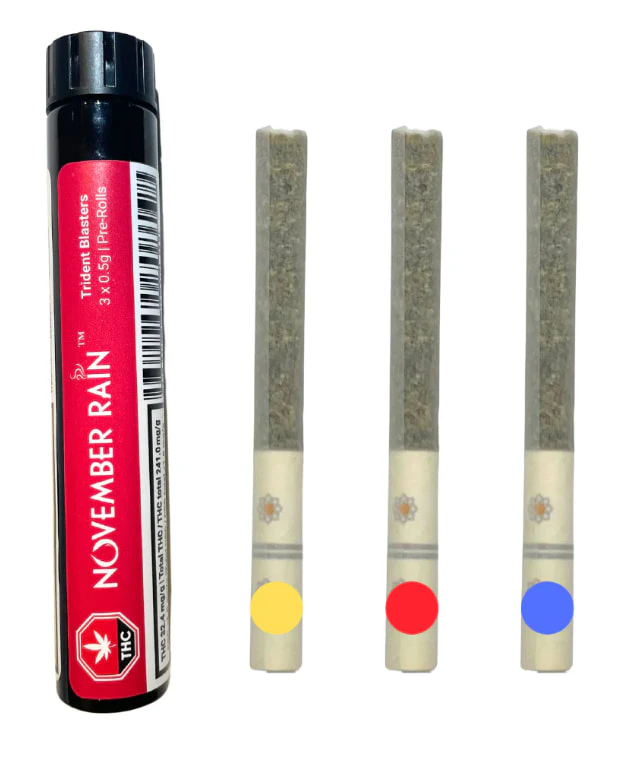 NOVEMBER RAIN - *Trident Blasters 3 x 0.5g Main Image