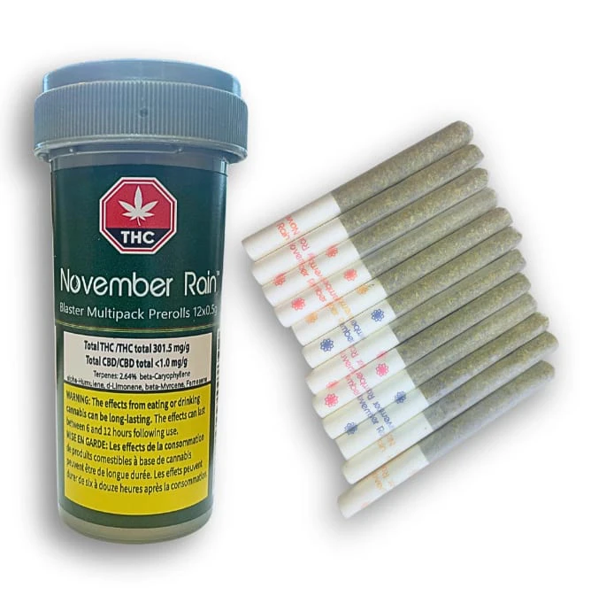 November Rain - Blaster Multi-Pack 12 x 0.5g Main Image