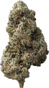 The Loud Plug - The Loud Plug - Sticky Bunz | 28g