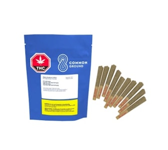 Common Ground - Purple Gas 10 X 0.5G