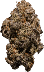 Florakraft - FloraKraft - Winter Sunrise | 3.5g