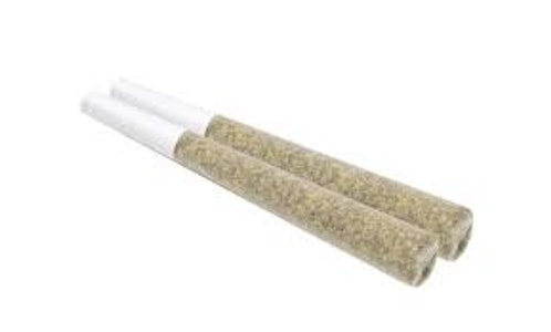 Terra Labs - SONIC BOOM