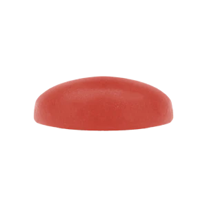 Woody Nelson - 10 X 10mg Rainbow Driver Fruit Chews