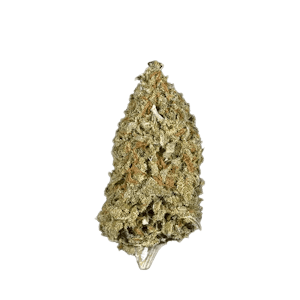 Potluck - Candy Cane Kush 7g