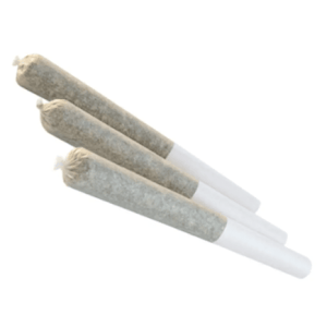 Carnaval - Queen of the Carnival 3 x 0.5g