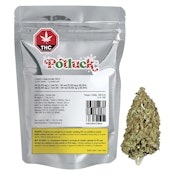 Potluck - Candy Cane Kush 7g Dried Flower