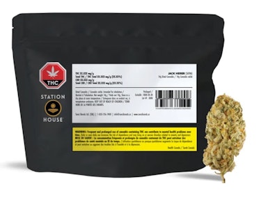 Station House - Jack Herer - 14g