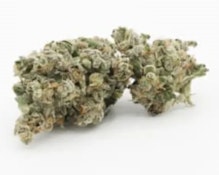 ABJ (Apples n' Bananas x Jealousy) 28g