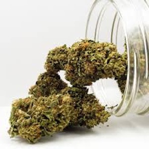 Grown Here Farms - Grown Here Farms | DAY DREAMIN' INFUSED CBD FLOWER | 7g