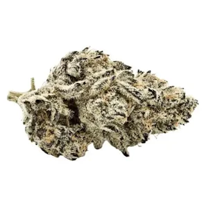 Toba Grown  - Locker Room - Volley Balls