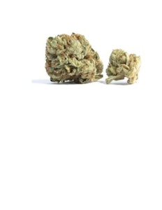 Rocky Mountain Cannabis - SUDZ - 7 GRAMS