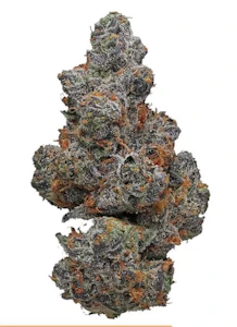 Potluck - Potluck Apple Fritter 7g