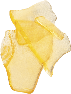 The Republic - The Republic - Shatter | 1g