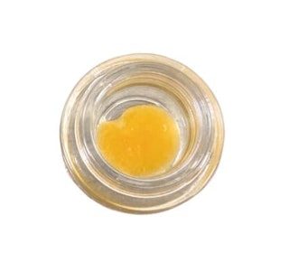 November Rain - November Rain | White Widow Live Resin | 1 g