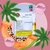 PAPAYA C VAPE - BRINDLE FARMS  - 1G
