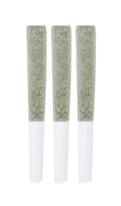 3rd Coast Genetics - Jack Truffle 3pk JOINTS .5g