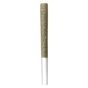 Melt - OG Gas Pre-Roll 10x0.5g Pre-Rolls