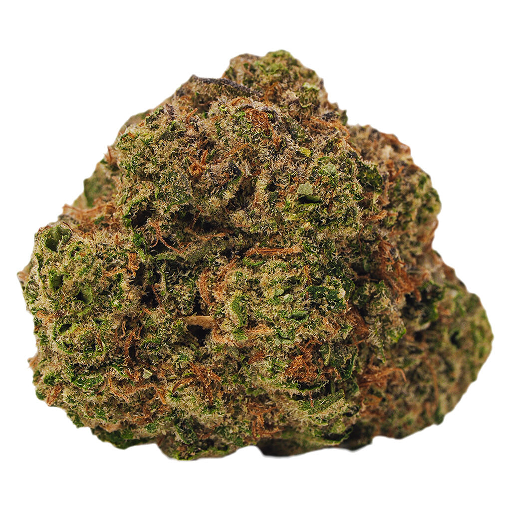 BOLD - Cool Aid Kush - Indica - 3.5g