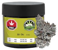 91 Ox 3.5g Dried Flower