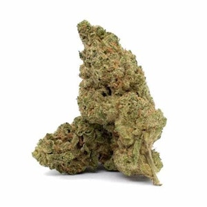 Crooked Dory - Durban Poison (14g) - Crooked Dory