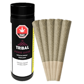 Tribal Porto Leche 5 x 0.6g Pre-Rolls