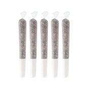 PINEAPPLE HAZE PRE-ROLLS - 2.5