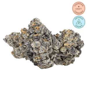 Sixty Seven Sins - Gas Face 14g