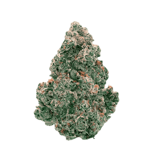 Back Forty - LIQUID IMAGINATION  28G