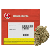 LIQUID IMAGINATION 14G