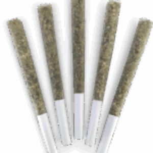 Dealr - EL CHANGUITO