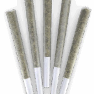 Dealr - BREAKFAST OF CHAMPIONS