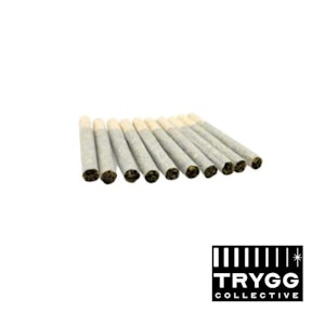 TRYGG - 10 x 0.4g Low Key Pre-Rolls
